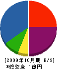 サンキキ 貸借対照表 2009年10月期