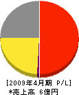 日本環境管理センター 損益計算書 2009年4月期