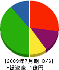 カネキ土木 貸借対照表 2009年7月期 カネキ土木 貸借対照表 2009年7月期