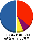 長崎装建 貸借対照表 2012年7月期