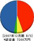 堀田公商店 貸借対照表 2007年12月期