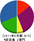 堀井工務店 貸借対照表 2011年6月期
