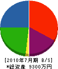 エバアメント宮崎 貸借対照表 2010年7月期