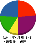 平山工務店 貸借対照表 2011年6月期