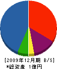 マルミケンパン 貸借対照表 2009年12月期