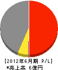 斉竹鉱建 損益計算書 2012年6月期