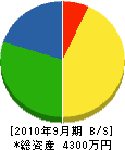 日本総合地質 貸借対照表 2010年9月期