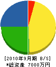 辰巳電工 貸借対照表 2010年9月期
