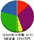 アーキテクチャー 貸借対照表 2008年10月期