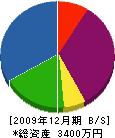 高橋電業 貸借対照表 2009年12月期