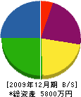 丸田商店 貸借対照表 2009年12月期