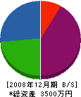 横田電気 貸借対照表 2008年12月期