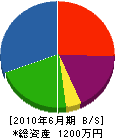 阪和機電 貸借対照表 2010年6月期