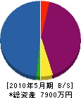 篠田鉄工 貸借対照表 2010年5月期