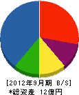 山崎塗装店 貸借対照表 2012年9月期
