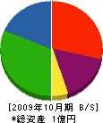 中善工務店 貸借対照表 2009年10月期