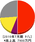 赤松電気 損益計算書 2010年7月期