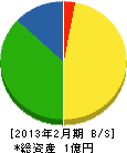 竹本電機商会 貸借対照表 2013年2月期