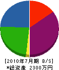 共和電工舎 貸借対照表 2010年7月期 共和電工舎 貸借対照表 2010年7月期