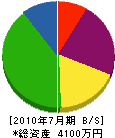 中野電機商会 貸借対照表 2010年7月期