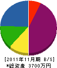 スケガワトソウ 貸借対照表 2011年11月期
