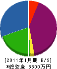 熊本建材 貸借対照表 2011年1月期