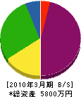 藤井鉄筋工業 貸借対照表 2010年3月期
