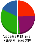 カクシン柳澤建設 貸借対照表 2009年3月期