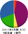 汎光電気 貸借対照表 2011年9月期