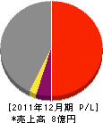 藤田観光工営 損益計算書 2011年12月期
