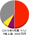 宮崎建設 損益計算書 2010年9月期 宮崎建設 損益計算書 2010年9月期