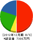 古澤商会 貸借対照表 2012年12月期