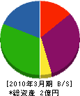 藤沢電気工業 貸借対照表 2010年3月期