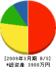渡辺設備工業 貸借対照表 2009年3月期