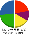 鶴田電設 貸借対照表 2012年6月期