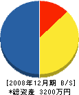 谷口組 貸借対照表 2008年12月期