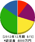 小川 貸借対照表 2012年12月期
