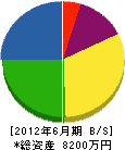 鶴丸設備 貸借対照表 2012年6月期