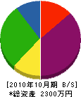 丸は橋本工業 貸借対照表 2010年10月期
