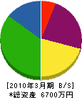 斎藤電機工業 貸借対照表 2010年3月期