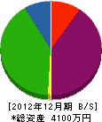 桜井設備 貸借対照表 2012年12月期