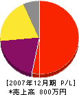 ジャパン・ワークス 損益計算書 2007年12月期