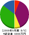 松島組 貸借対照表 2009年9月期