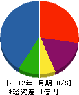 丸晃住販 貸借対照表 2012年9月期