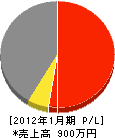 松嶋産業 損益計算書 2012年1月期