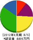 東豊開発 貸借対照表 2012年6月期