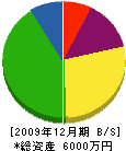 津島建設 貸借対照表 2009年12月期