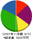 秦建設 貸借対照表 2007年11月期