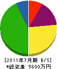 長野信栄工業 貸借対照表 2011年7月期
