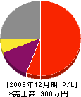 山＊電業社 損益計算書 2009年12月期